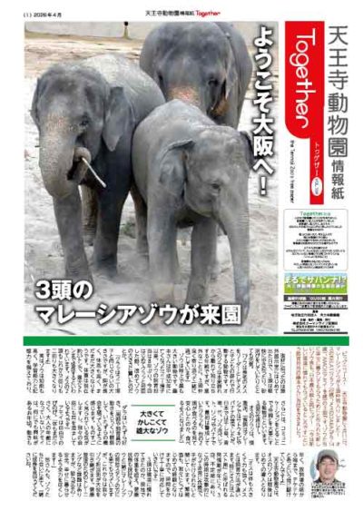 天王寺動物園情報誌 Together